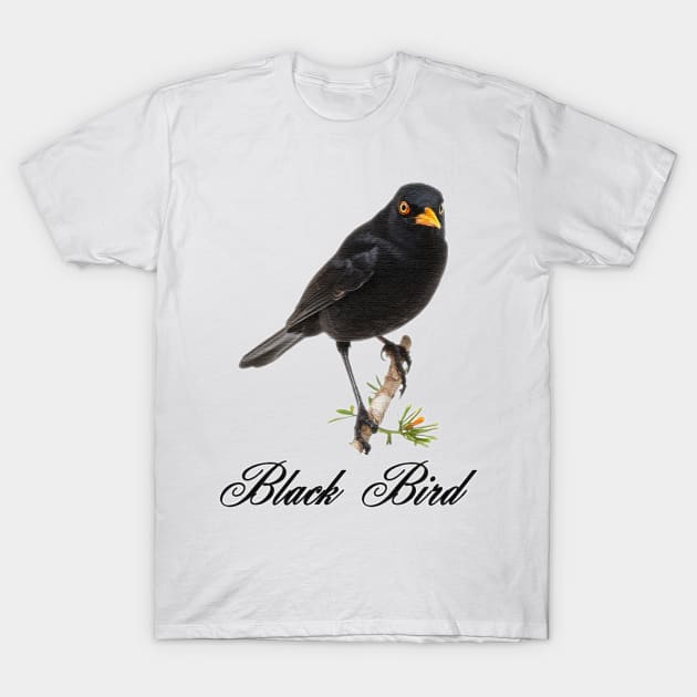 a British black bird perched on a branch T-Shirt by JnS Merch Store